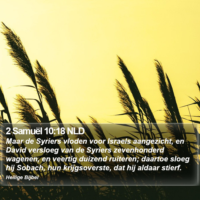 2 Samuël 10:18 NLD Bible Study