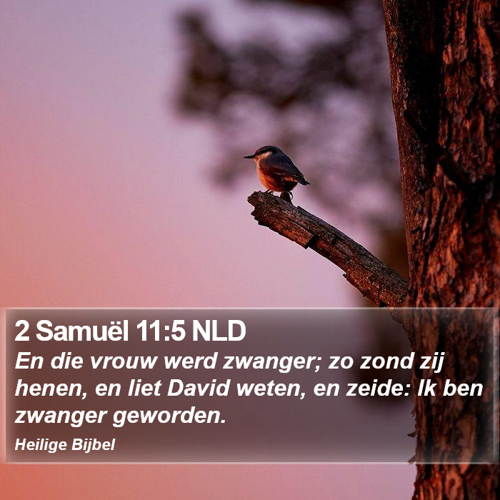 2 Samuël 11:5 NLD Bible Study