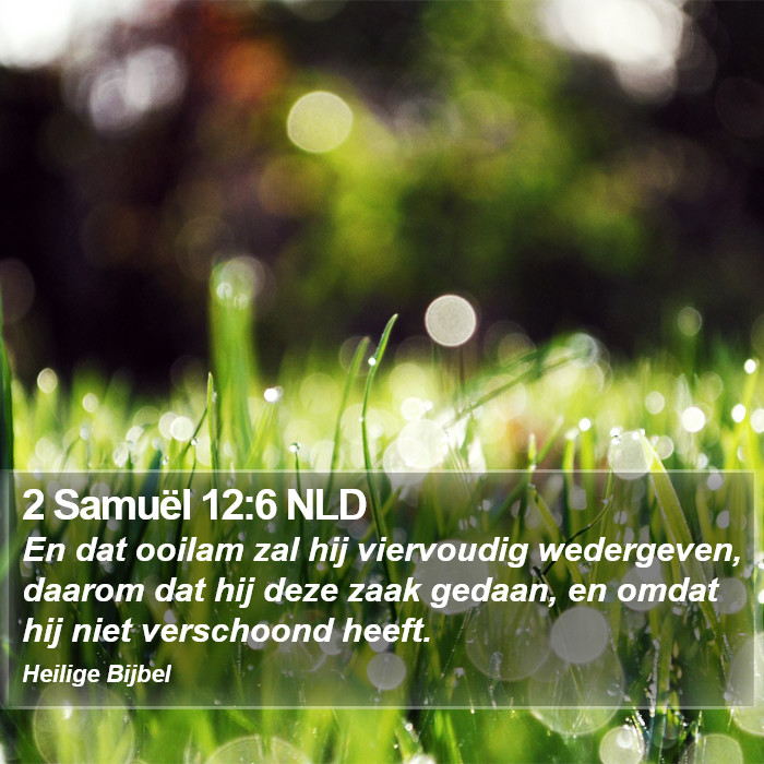 2 Samuël 12:6 NLD Bible Study