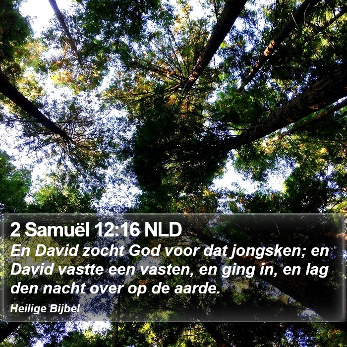 2 Samuël 12:16 NLD Bible Study