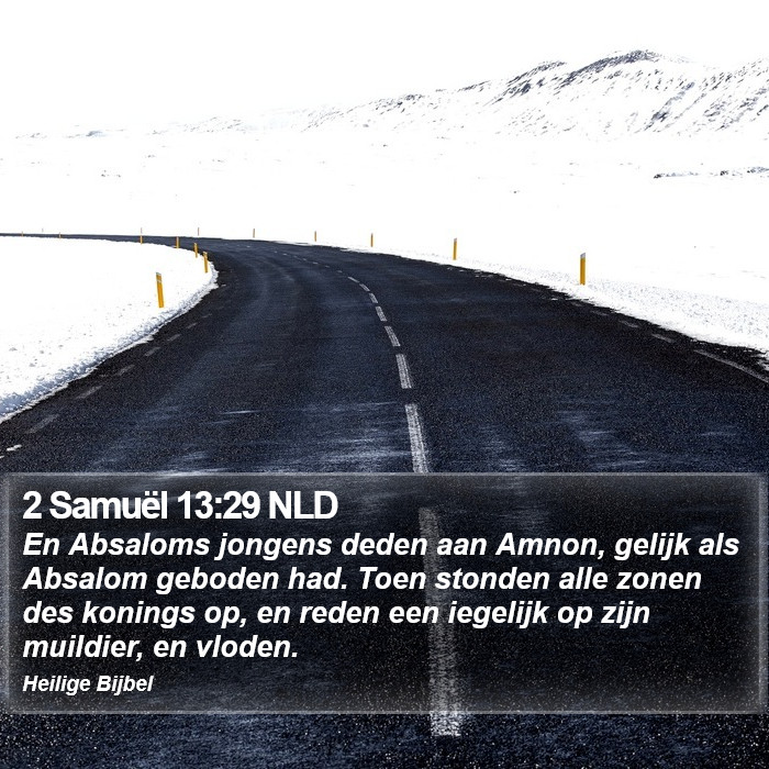 2 Samuël 13:29 NLD Bible Study