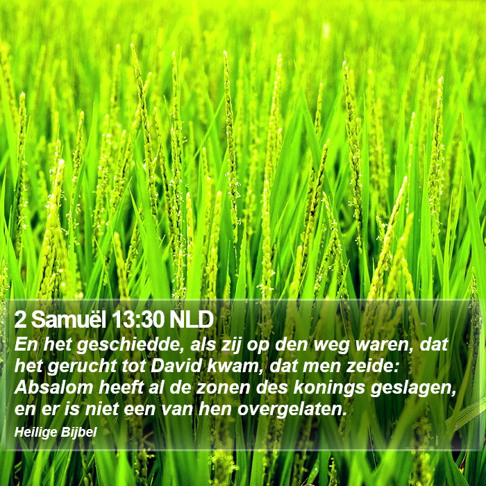 2 Samuël 13:30 NLD Bible Study
