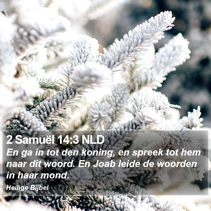 2 Samuël 14:3 NLD Bible Study