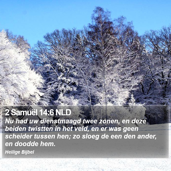 2 Samuël 14:6 NLD Bible Study
