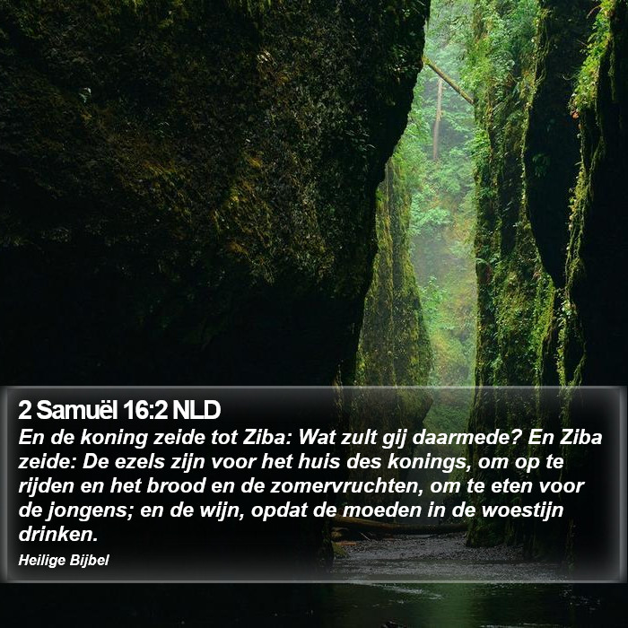 2 Samuël 16:2 NLD Bible Study