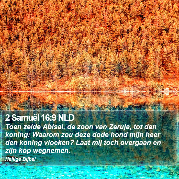 2 Samuël 16:9 NLD Bible Study