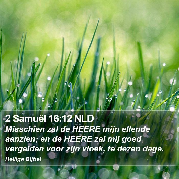 2 Samuël 16:12 NLD Bible Study