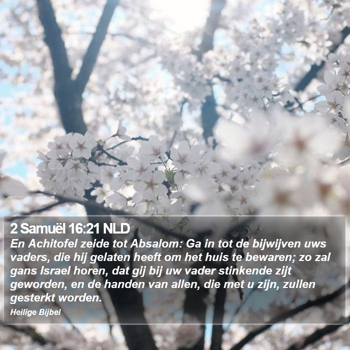 2 Samuël 16:21 NLD Bible Study