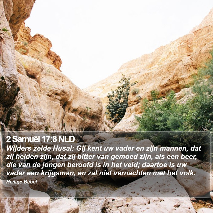 2 Samuël 17:8 NLD Bible Study