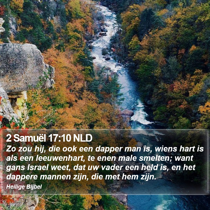 2 Samuël 17:10 NLD Bible Study