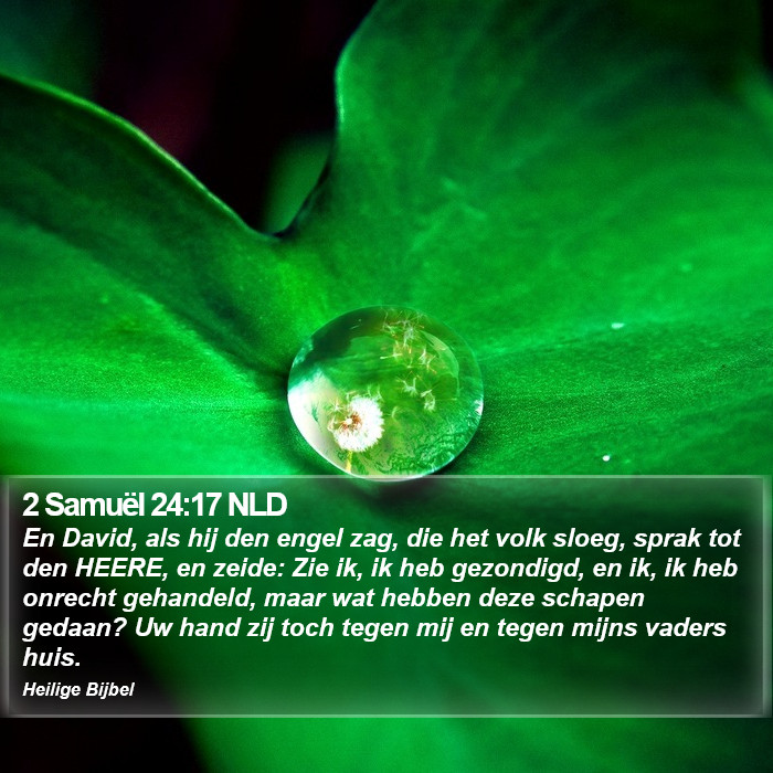 2 Samuël 24:17 NLD Bible Study