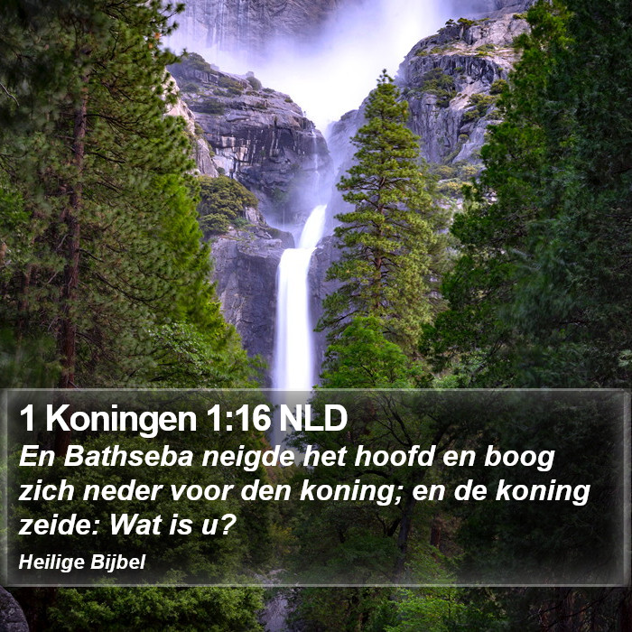 1 Koningen 1:16 NLD Bible Study