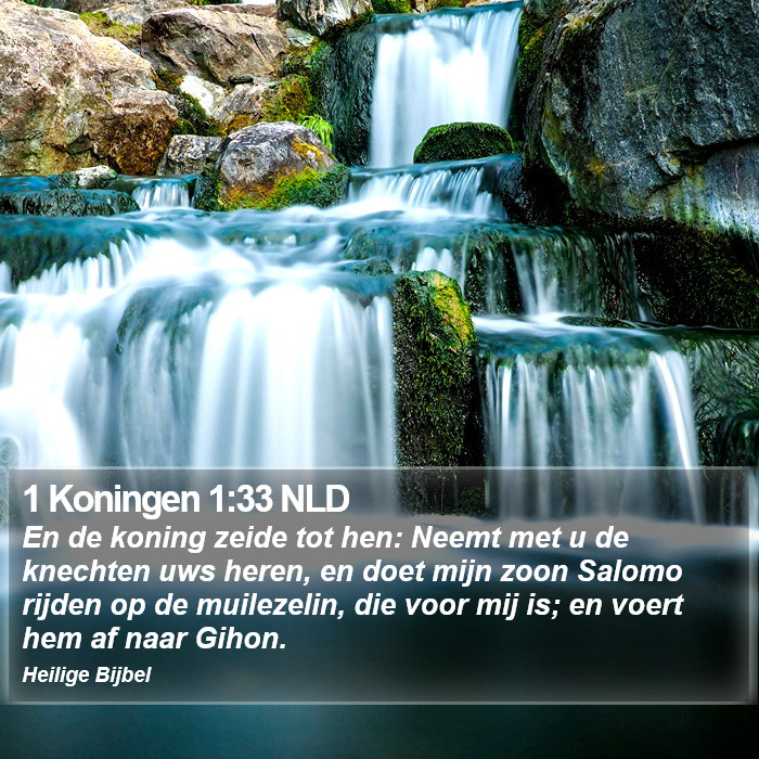 1 Koningen 1:33 NLD Bible Study