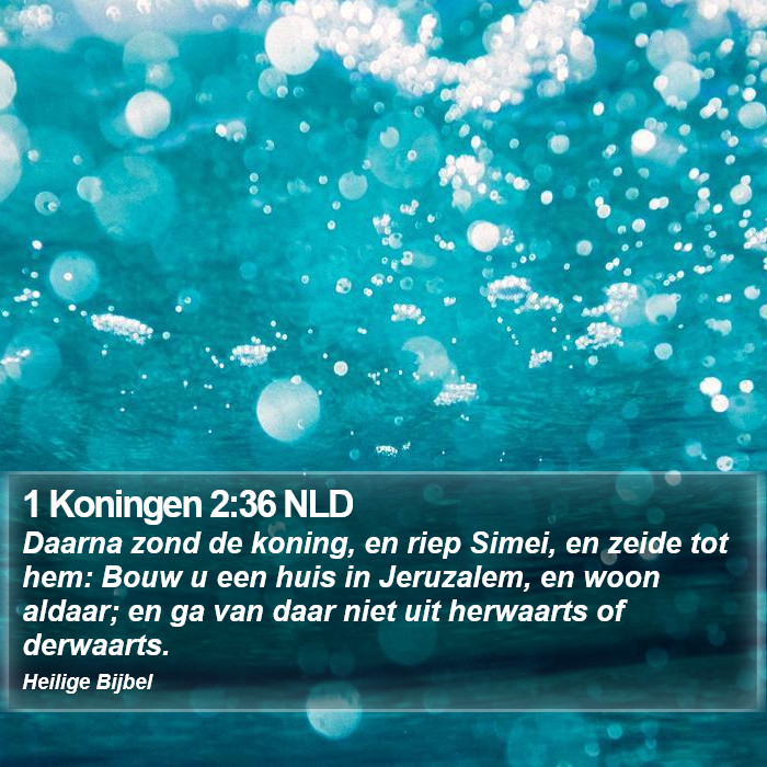 1 Koningen 2:36 NLD Bible Study