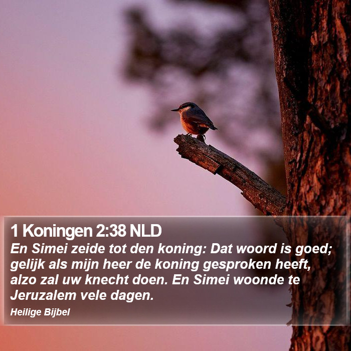 1 Koningen 2:38 NLD Bible Study
