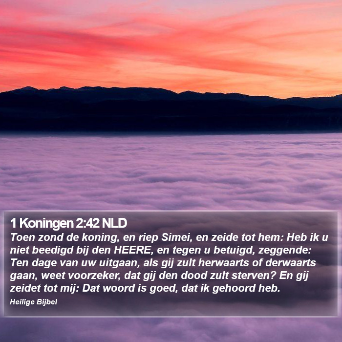 1 Koningen 2:42 NLD Bible Study