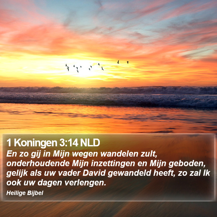 1 Koningen 3:14 NLD Bible Study