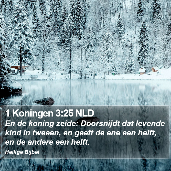 1 Koningen 3:25 NLD Bible Study