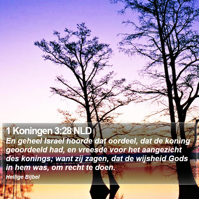 1 Koningen 3:28 NLD Bible Study