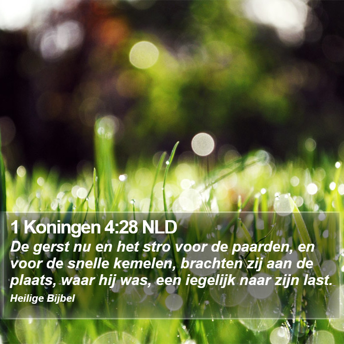 1 Koningen 4:28 NLD Bible Study