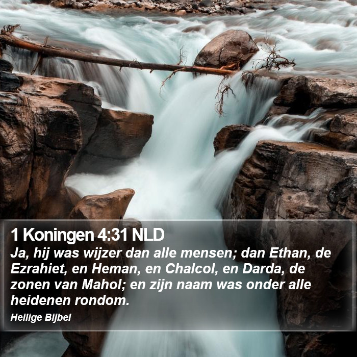 1 Koningen 4:31 NLD Bible Study