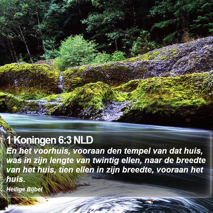 1 Koningen 6:3 NLD Bible Study