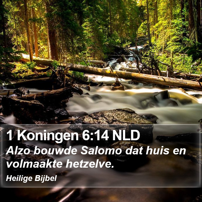 1 Koningen 6:14 NLD Bible Study