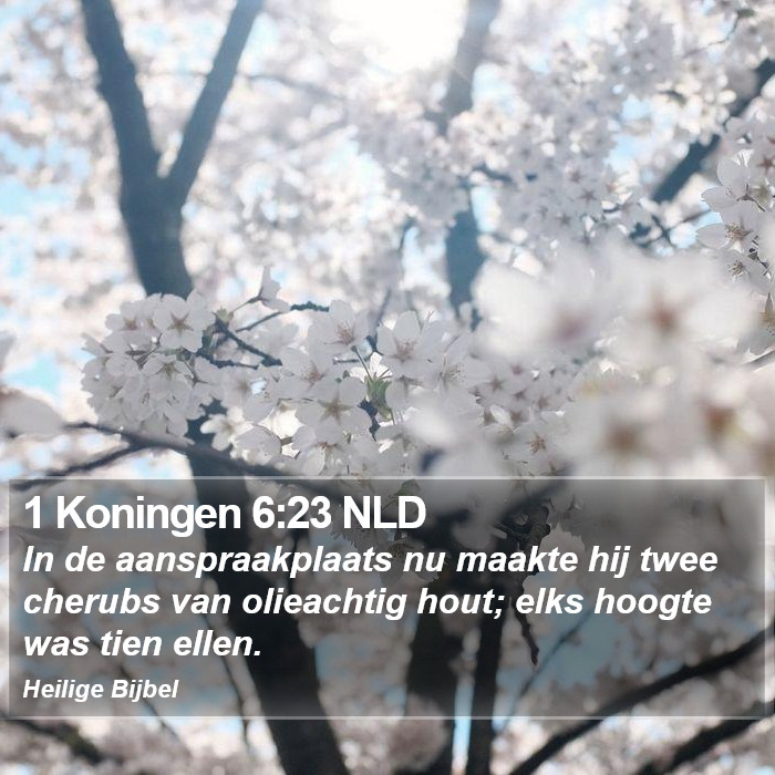 1 Koningen 6:23 NLD Bible Study