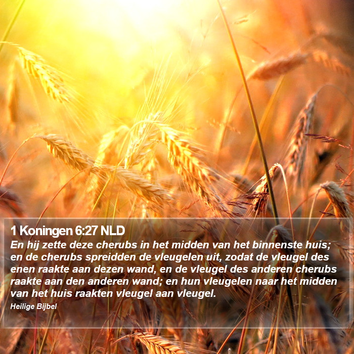 1 Koningen 6:27 NLD Bible Study