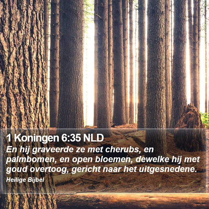 1 Koningen 6:35 NLD Bible Study