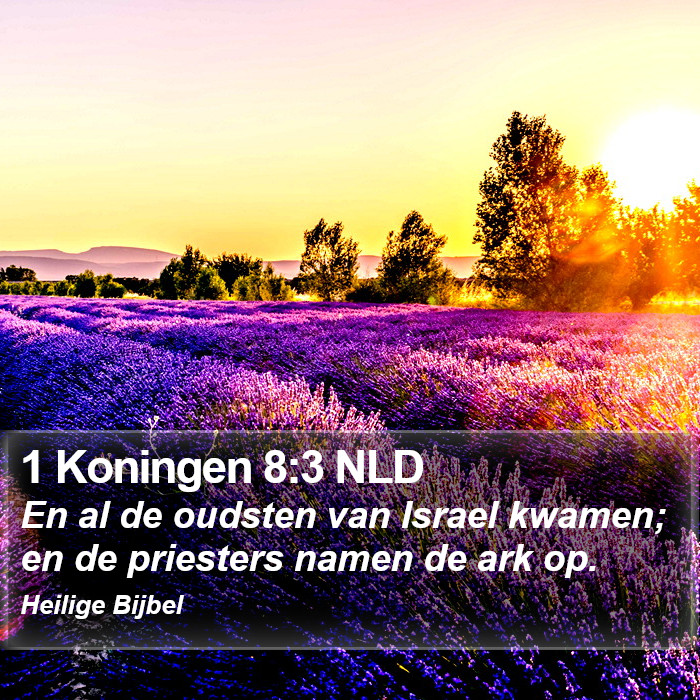 1 Koningen 8:3 NLD Bible Study