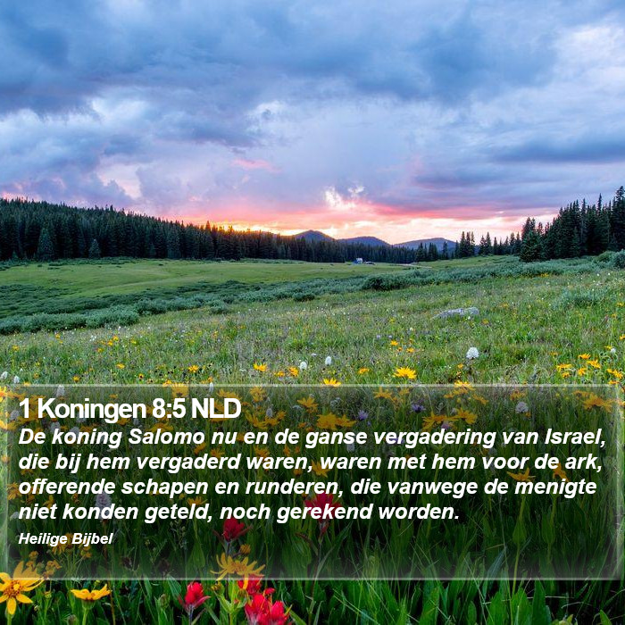1 Koningen 8:5 NLD Bible Study