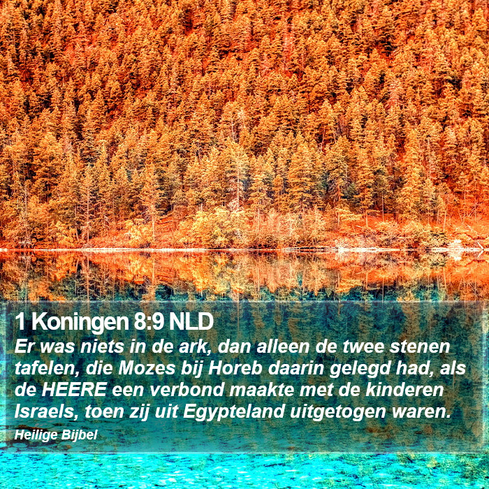 1 Koningen 8:9 NLD Bible Study