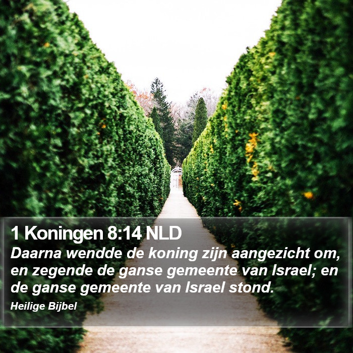 1 Koningen 8:14 NLD Bible Study