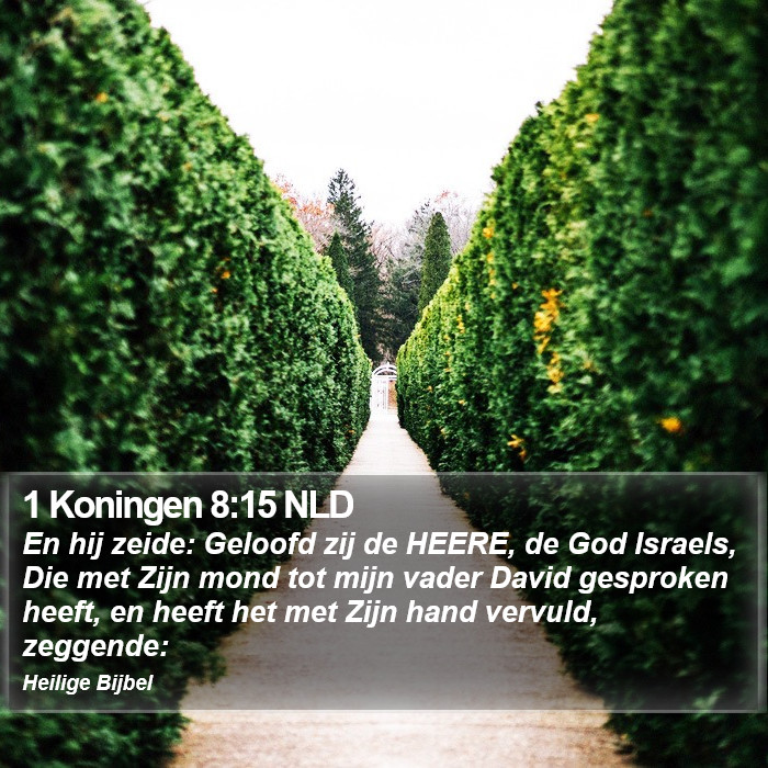 1 Koningen 8:15 NLD Bible Study