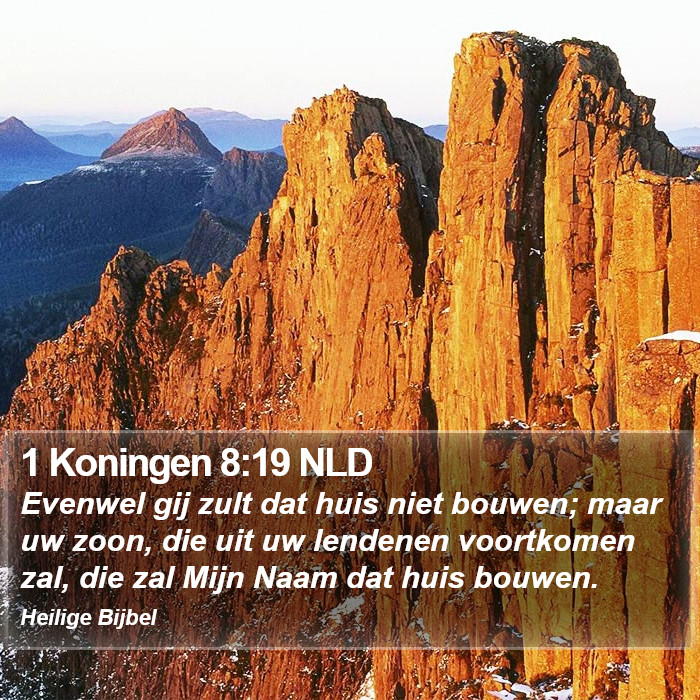 1 Koningen 8:19 NLD Bible Study