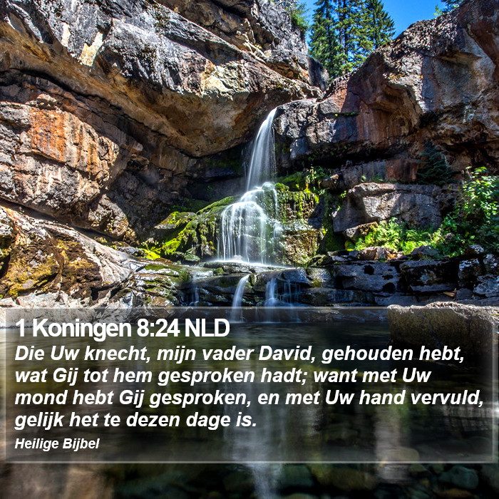 1 Koningen 8:24 NLD Bible Study