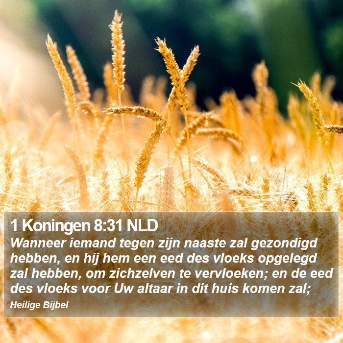 1 Koningen 8:31 NLD Bible Study