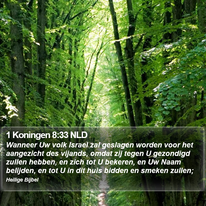 1 Koningen 8:33 NLD Bible Study