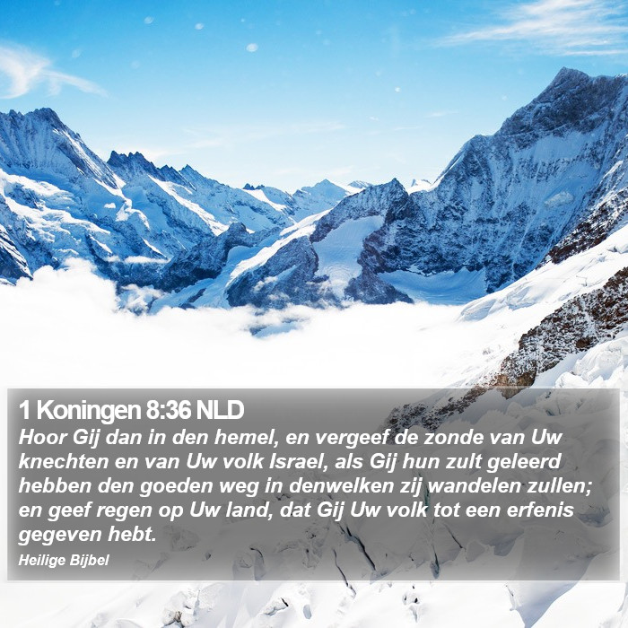 1 Koningen 8:36 NLD Bible Study
