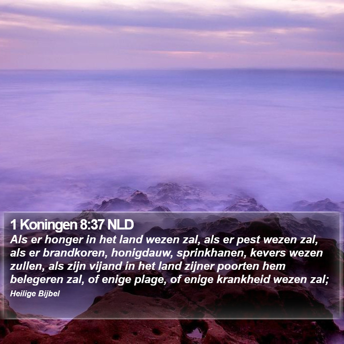 1 Koningen 8:37 NLD Bible Study