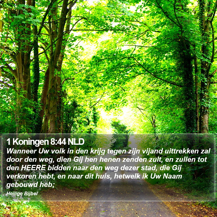 1 Koningen 8:44 NLD Bible Study