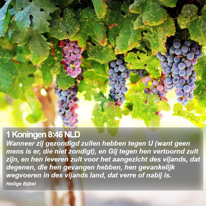 1 Koningen 8:46 NLD Bible Study