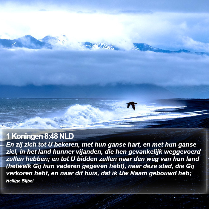 1 Koningen 8:48 NLD Bible Study