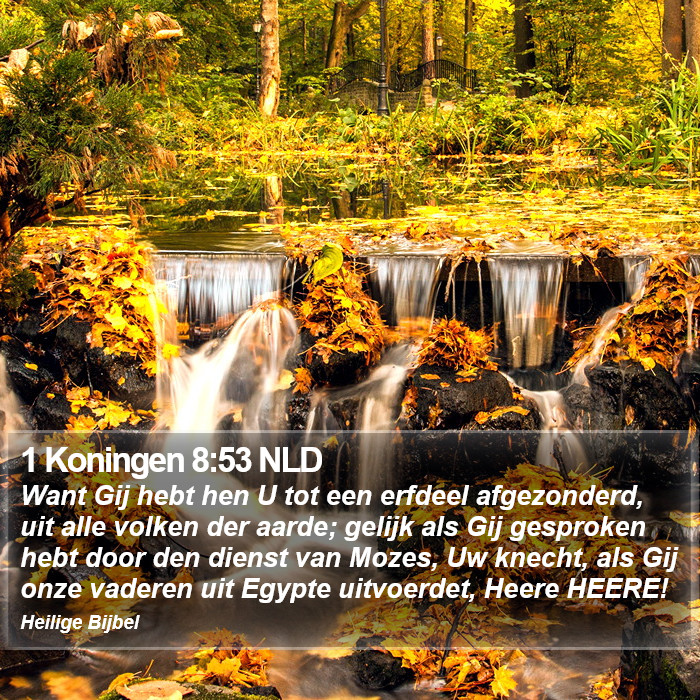 1 Koningen 8:53 NLD Bible Study