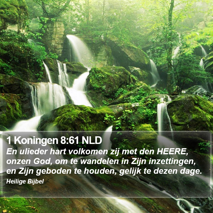 1 Koningen 8:61 NLD Bible Study