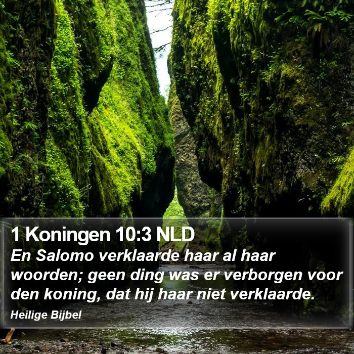 1 Koningen 10:3 NLD Bible Study