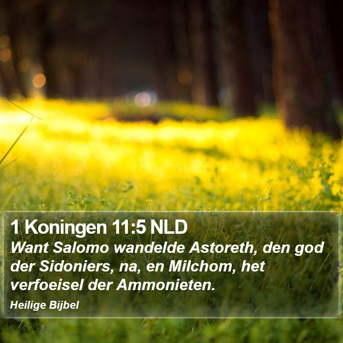 1 Koningen 11:5 NLD Bible Study