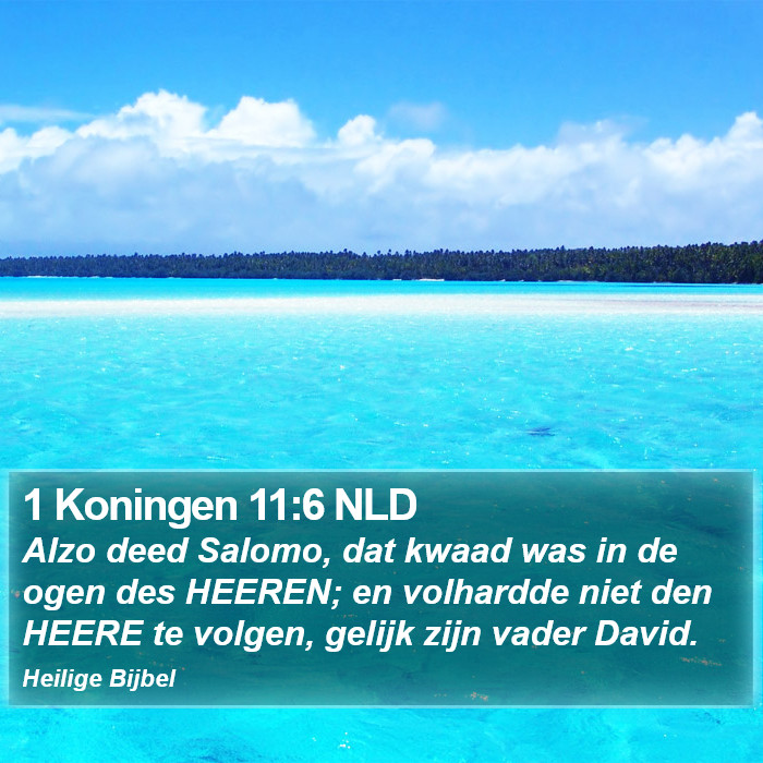 1 Koningen 11:6 NLD Bible Study