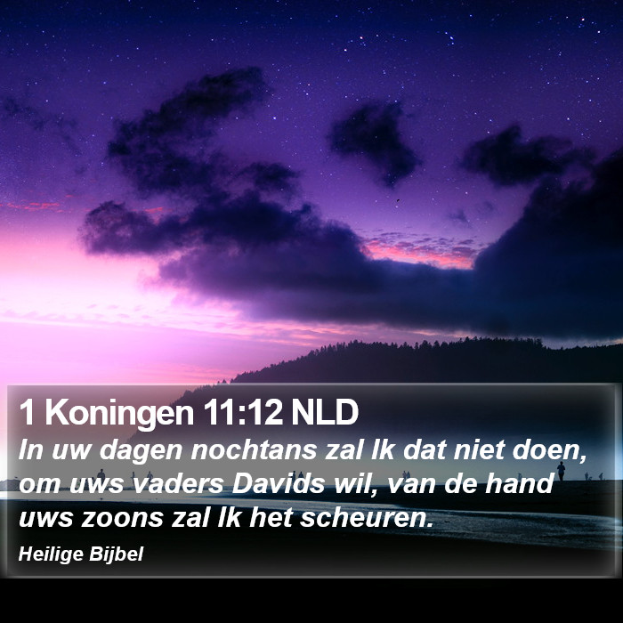 1 Koningen 11:12 NLD Bible Study